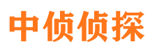 南陵侦探公司